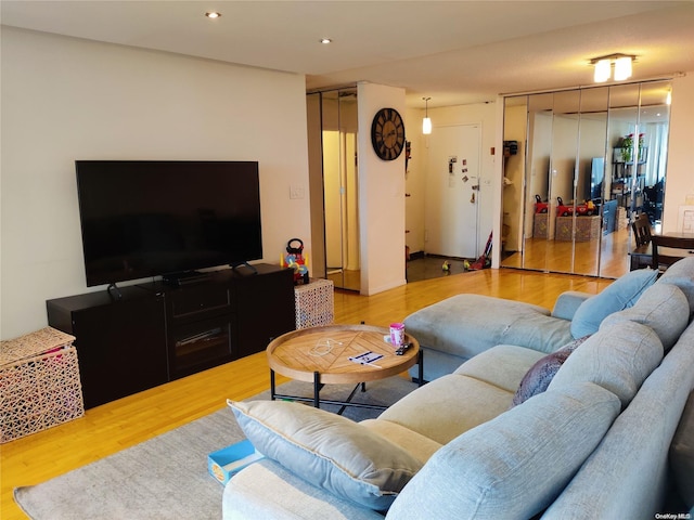 living room with hardwood / wood-style flooring