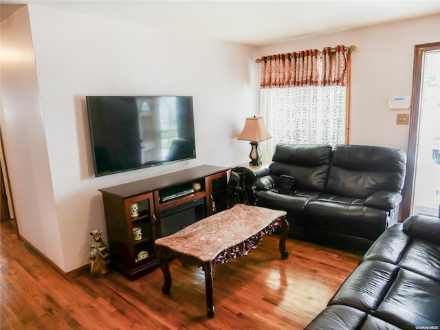 living room with wood-type flooring