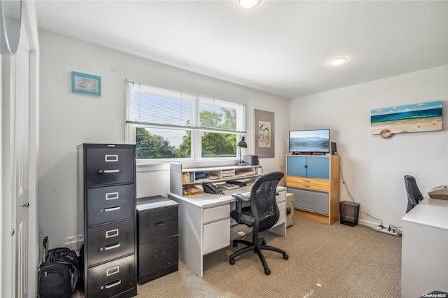 office area with light carpet