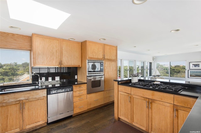 kitchen featuring backsplash, sink, a skylight, dark hardwood / wood-style floors, and stainless steel appliances