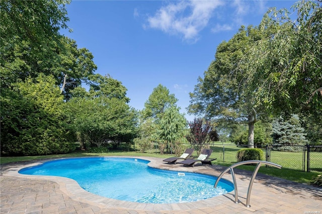 view of swimming pool with a patio area