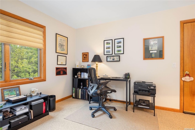 home office with carpet floors