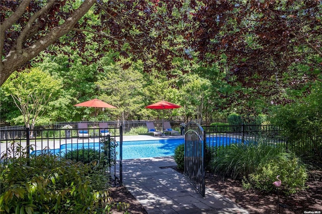 view of swimming pool