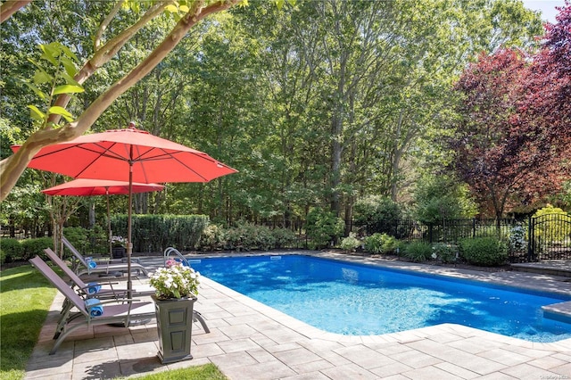 view of swimming pool featuring a patio area