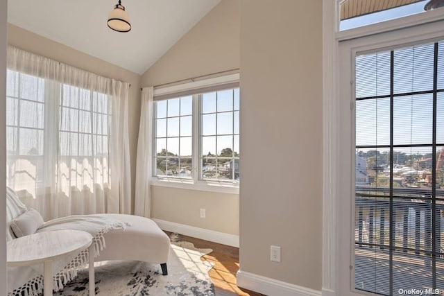 bedroom with hardwood / wood-style flooring, vaulted ceiling, and multiple windows