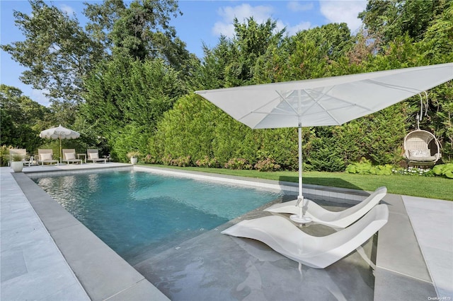 view of swimming pool with a yard