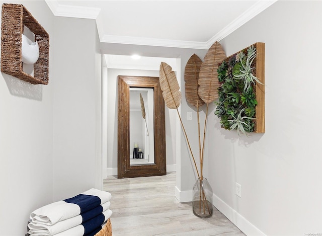 hall featuring light hardwood / wood-style flooring and ornamental molding