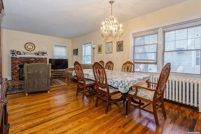 dining room with a chandelier, a wealth of natural light, dark hardwood / wood-style floors, and radiator