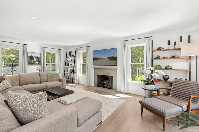 living room featuring plenty of natural light and light wood-type flooring