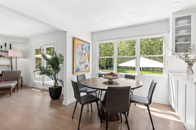 dining space featuring light hardwood / wood-style floors