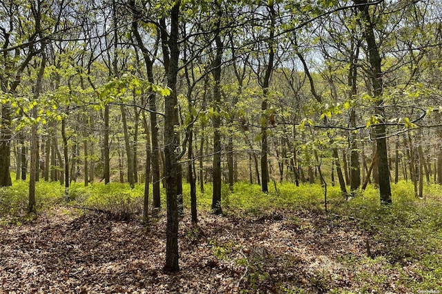 view of local wilderness