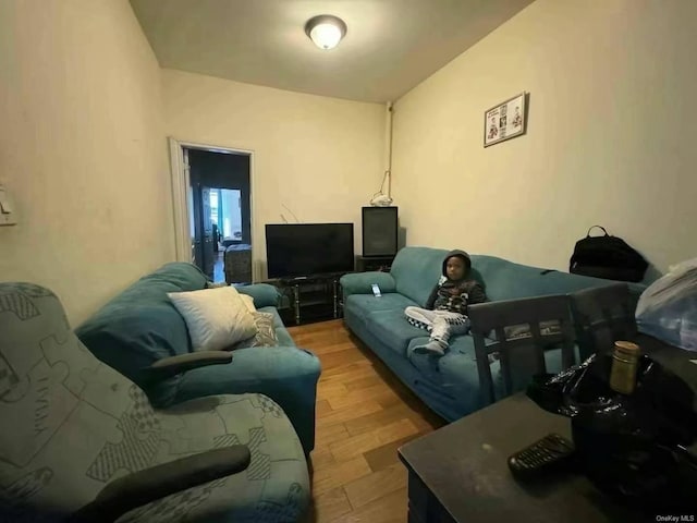 living room featuring wood finished floors