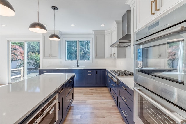 80 Ocean Ave, Massapequa, NY 11758 - kitchen featuring wall chimney range hood, a sink, blue cabinets, a healthy amount of sunlight, and stainless steel appliances