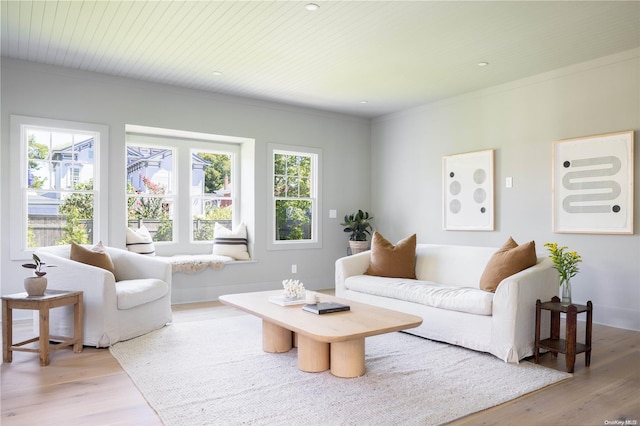 living room featuring light hardwood / wood-style flooring