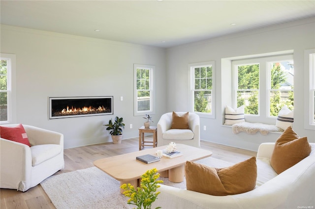 living room featuring ornamental molding and light hardwood / wood-style flooring