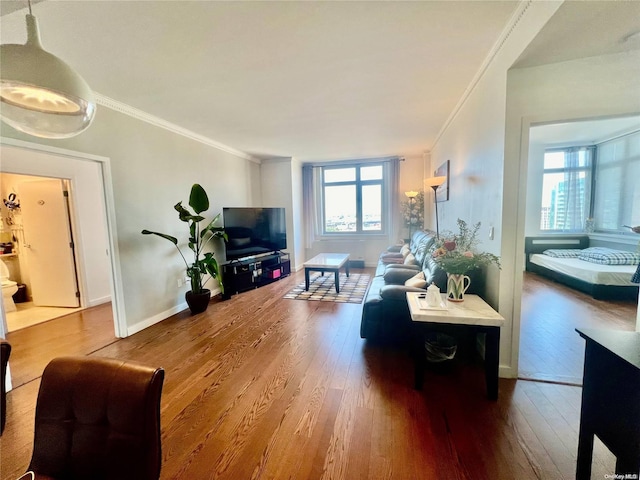 living room featuring wood-type flooring and crown molding