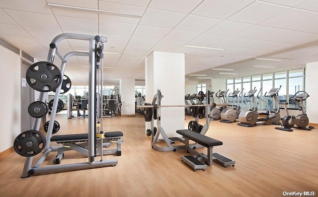 gym with a wealth of natural light, a drop ceiling, and wood-type flooring