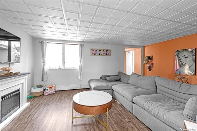 living room featuring hardwood / wood-style floors