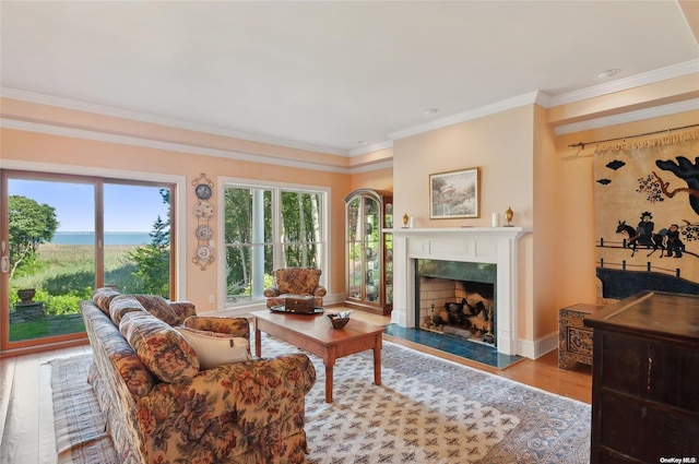 living room with a high end fireplace, light hardwood / wood-style flooring, and crown molding