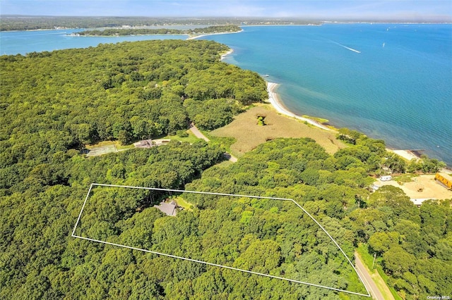156 Ram Island Dr, Shelter Island, NY 11964 - aerial overview of property's location with a forest and property parcel outlined