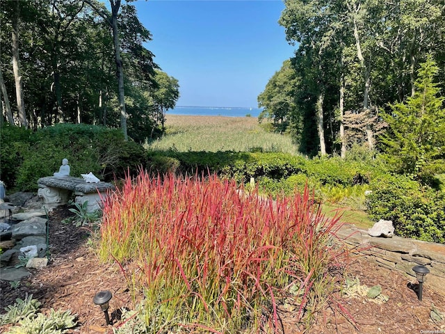 156 Ram Island Dr, Shelter Island, NY 11964 - view of yard