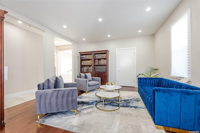 living room with hardwood / wood-style floors and a wealth of natural light