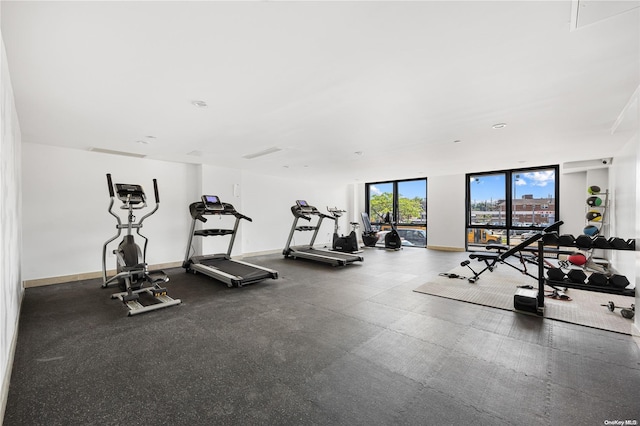 exercise room featuring a wall of windows