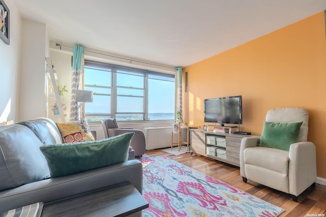 living room featuring hardwood / wood-style floors