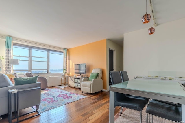 living room with hardwood / wood-style floors