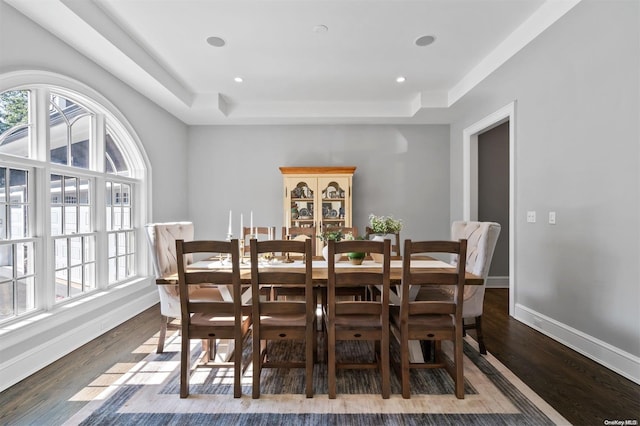 dining area featuring a raised ceiling and dark hardwood / wood-style floors