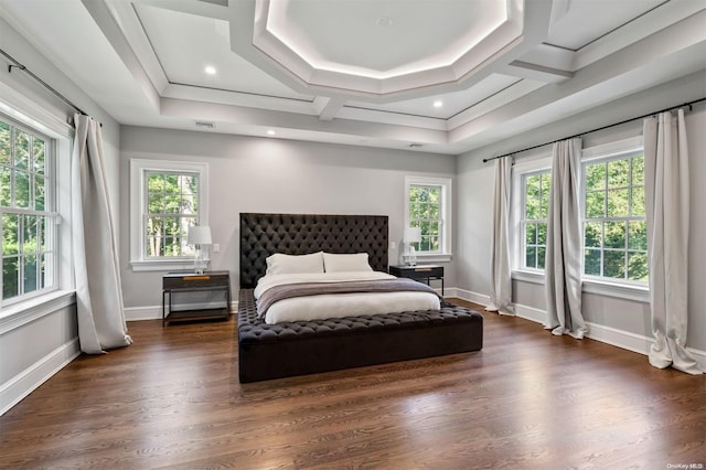 bedroom with dark hardwood / wood-style flooring and a raised ceiling