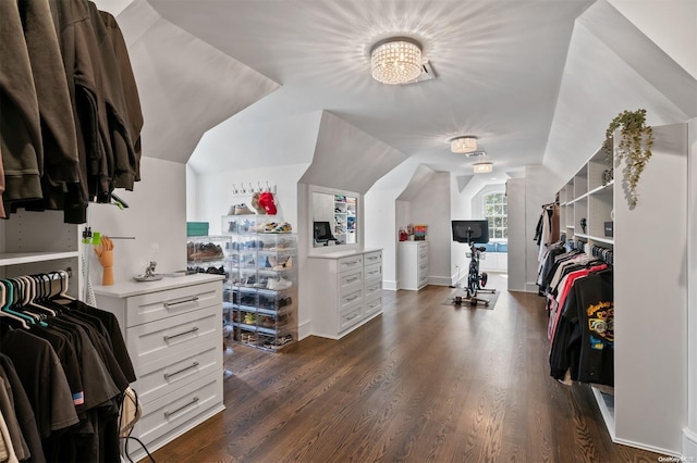 walk in closet with a chandelier, vaulted ceiling, and dark wood-type flooring