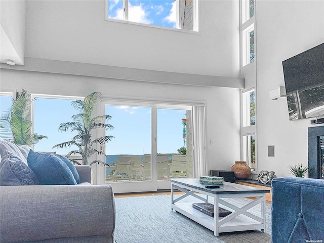 living room featuring a towering ceiling and hardwood / wood-style floors