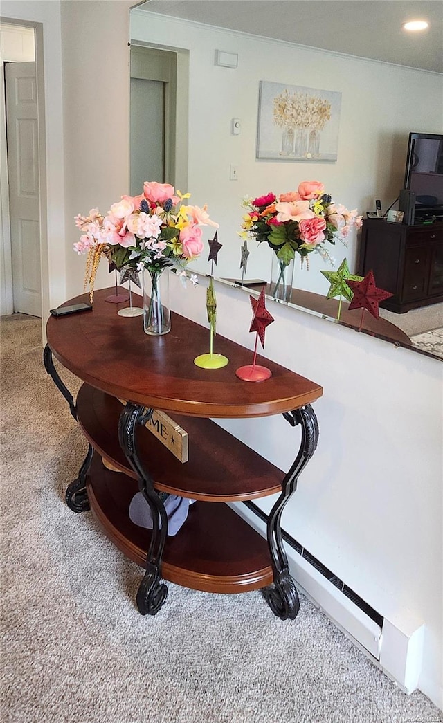 dining space featuring carpet floors