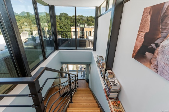 staircase featuring wood-type flooring