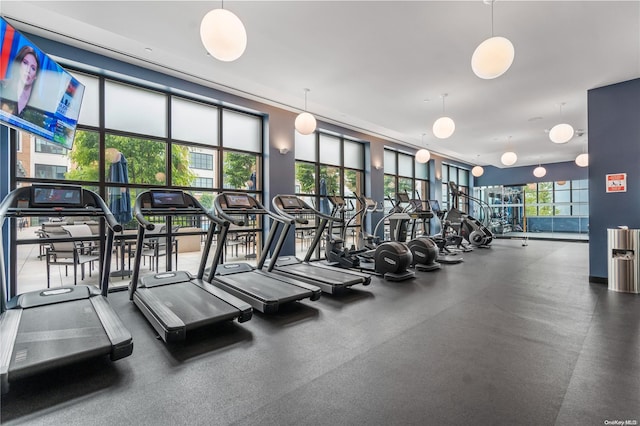 100 Garvies Point Rd Unit 1309, Glen Cove, NY 11542 - view of workout area