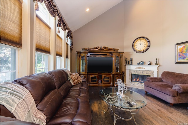 living room featuring wood-type flooring and high vaulted ceiling