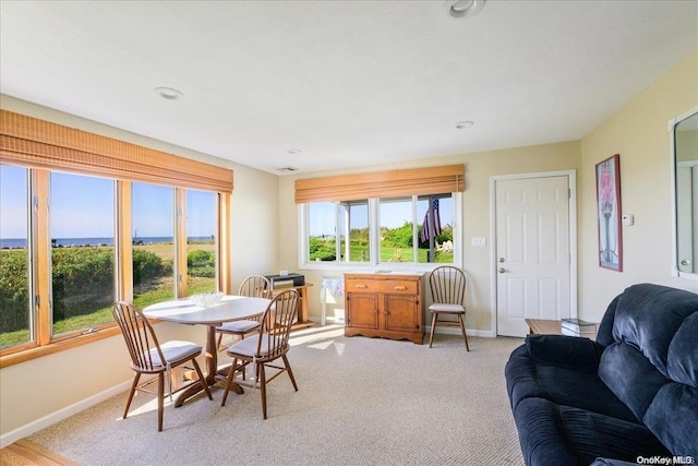 view of carpeted dining room