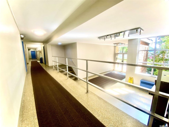 hall featuring carpet flooring and rail lighting