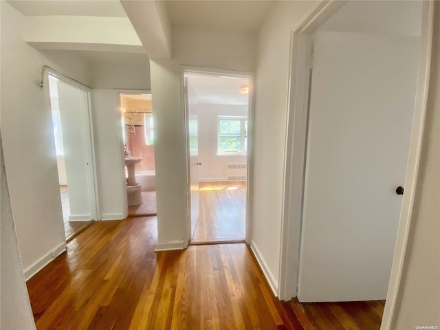 hall featuring radiator and dark hardwood / wood-style flooring