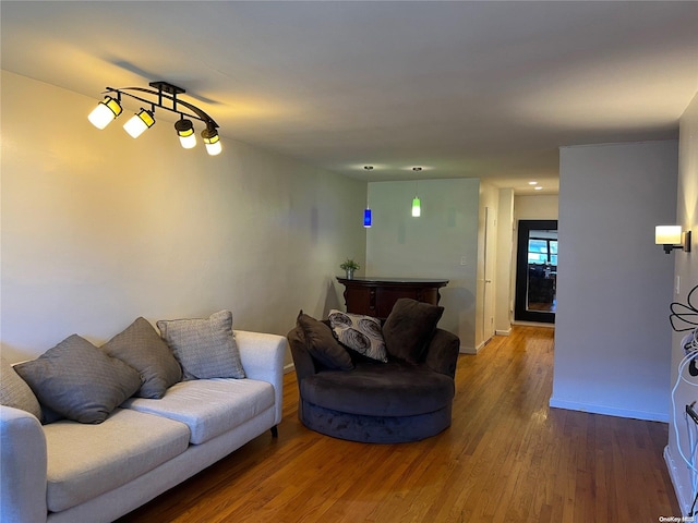 living room with wood-type flooring