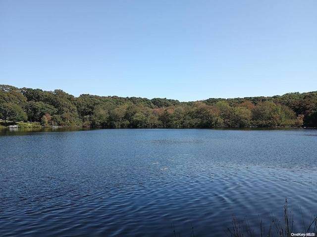 view of water feature