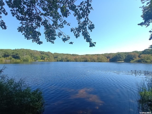 view of water feature