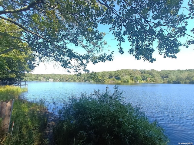 property view of water