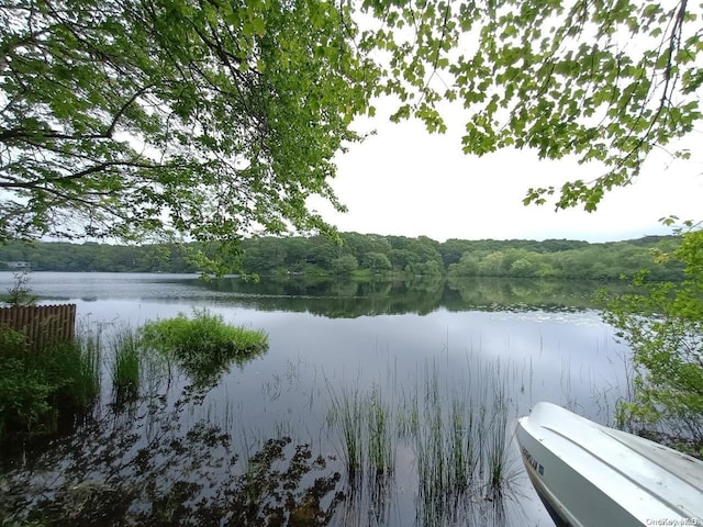 view of water feature