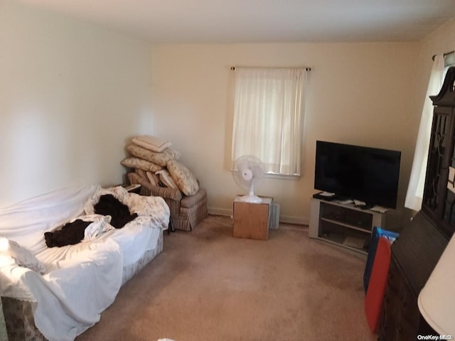 bedroom with carpet flooring