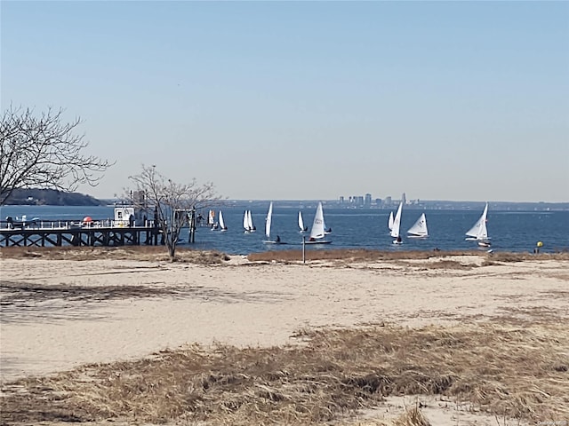 view of water feature with a beach view