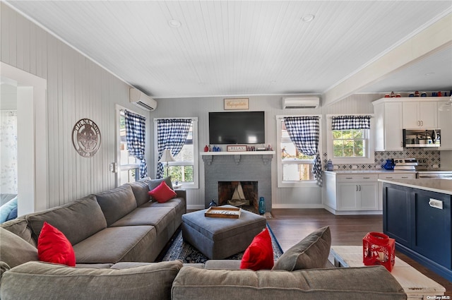29 Ocean Rd, Ocean Beach, NY 11770 - living room with a wall mounted AC, a fireplace, and dark wood-type flooring