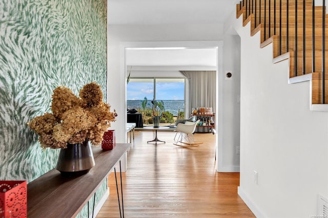 hallway with hardwood / wood-style floors