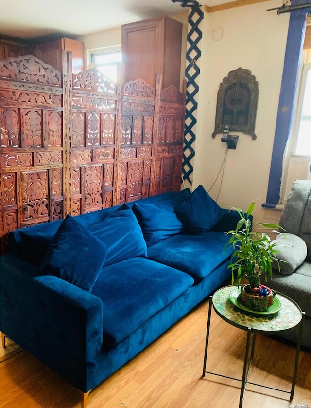 living room with wood-type flooring